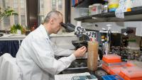 Basic Research - Pathology and Cell Biology